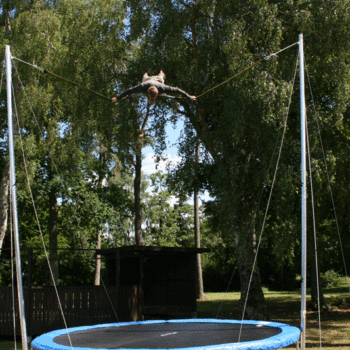 Bungee cord shop trampoline